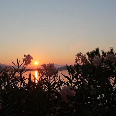 Marer アパート *