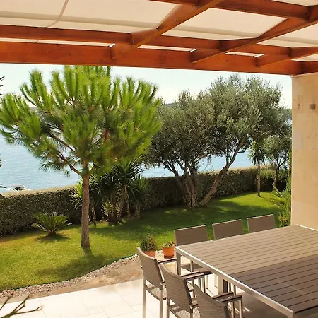 Marer * トロギール